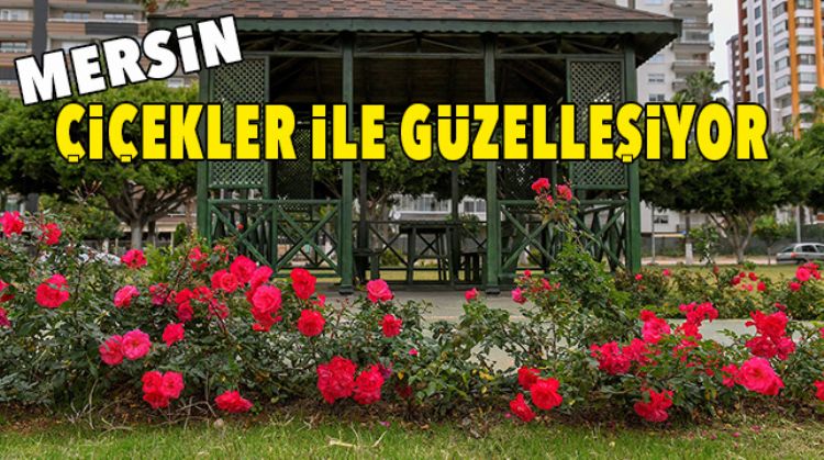 MERSİN ÇİÇEKLER İLE IŞILDIYOR