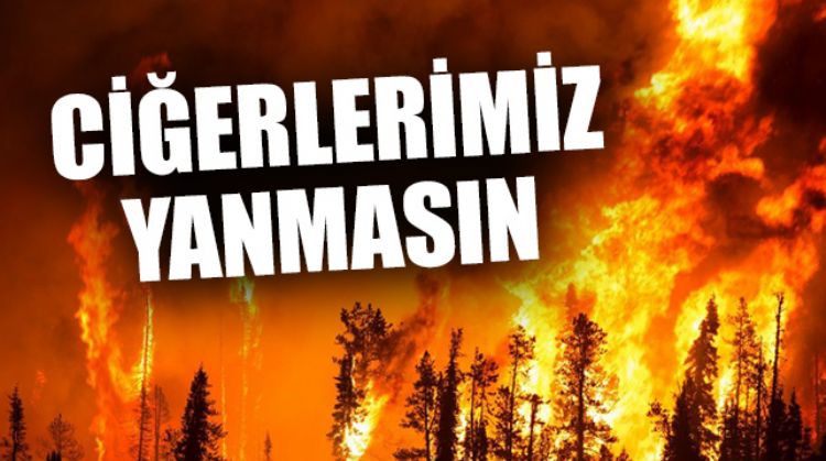 DOĞAYA SAHİP ÇIK