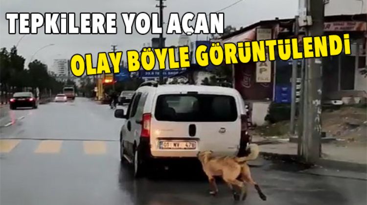 CANİLER KÖPEĞİ ARABANIN ARKASINA BAĞLADI