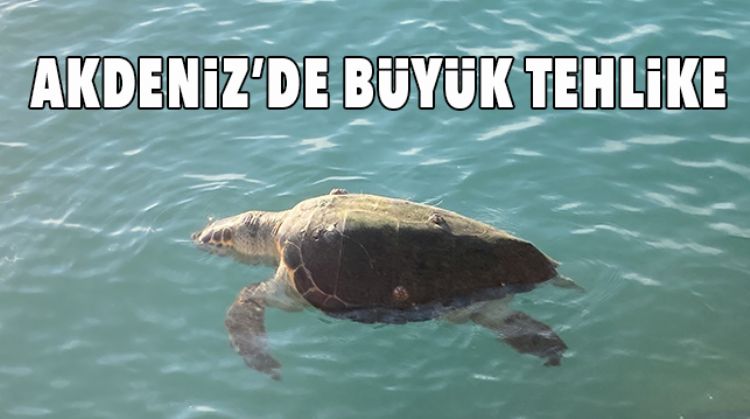 İKİ HAFTADA İKİ ÖLÜM GERÇEKLEŞTİ