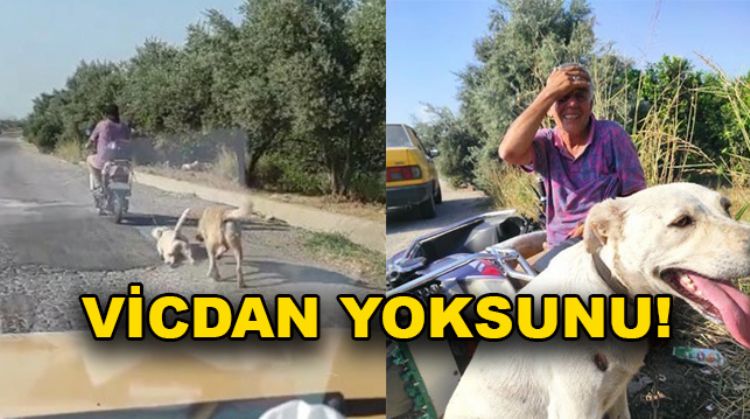 KÖPEĞİ MOTOSİKLETE BAĞLAYIP SÜRÜKLEDİ