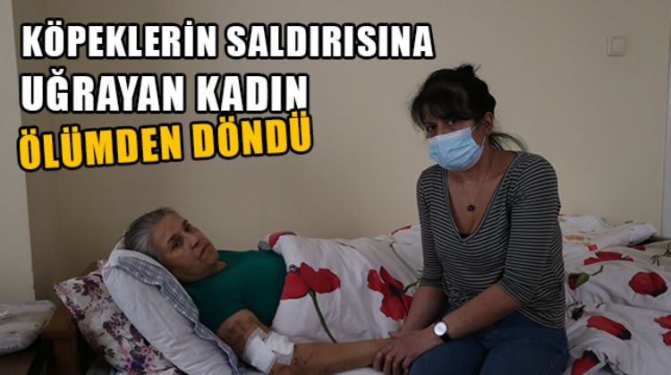 MERSİN’DE SOKAK KÖPEKLERİNİN SALDIRISINA UĞRAYAN YAŞLI KADIN ÖLÜMDEN DÖNDÜ