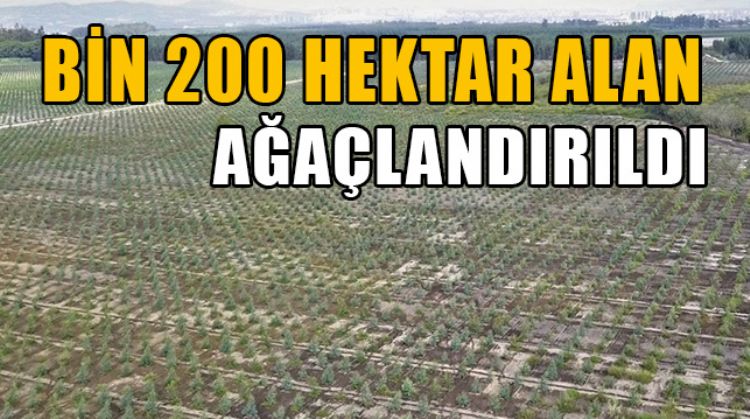 MERSİN’DE 2020 YILINDA BİN 200 HEKTAR ALANDA AĞAÇLANDIRMA ÇALIŞMASI YAPILDI