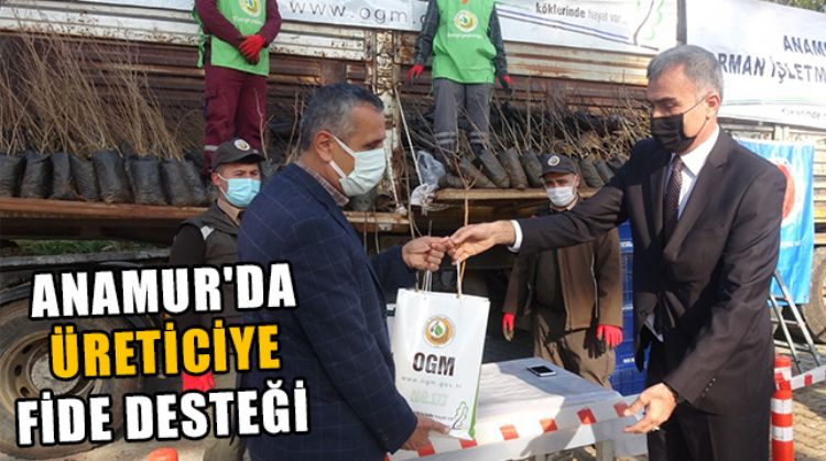 ANAMUR’A ÜRETİCİYE FİDE DAĞITIMINA BAŞLANDI