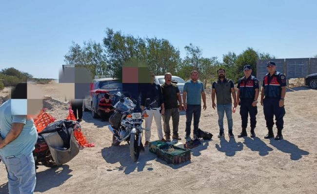 Mersin'de kaçak yırtıcı kuş avcılığı yapan 4 kişiye 143 bin lira ceza kesildi