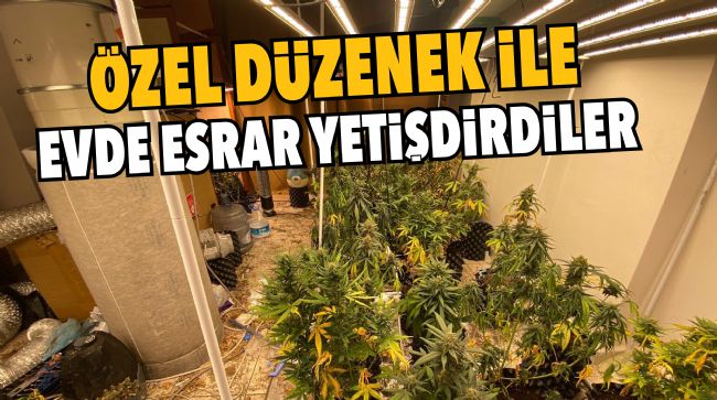 EVDE ESRAR YETİŞTİREN ŞAHISLARA OPERASYON