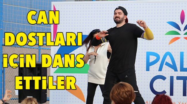 SOKAK HAYVANLARI İÇİN DANS ETTİLER