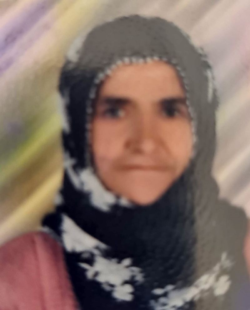 TARSUS'TA OTOMOBİLİN ÇARPTIĞI YAŞLI KADIN HAYATINI KAYBETTİ