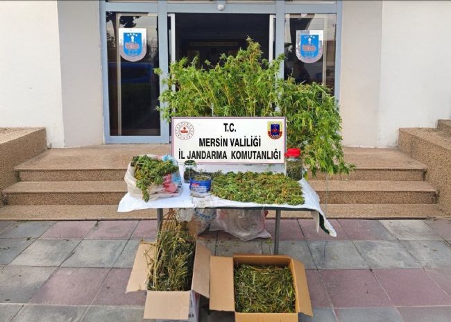 Mersin'de kenevir ekip uyuşturucu üreten şüpheli tutuklandı