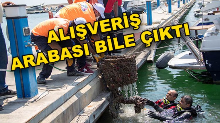 DENİZDEN ÇIKANLAR ŞOK ETTİ!