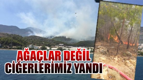 BOZYAZI'DA ORMAN YANGINI