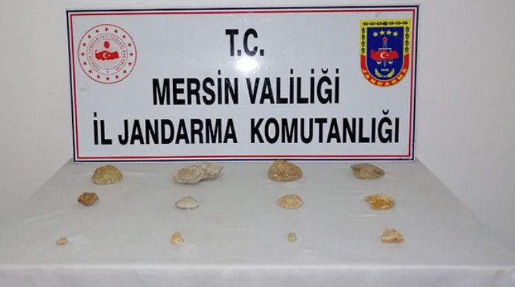 ERDEMLİ'DE TARİHİ ESER NİTELİĞİNDE 12 ADET FOSİL ELE GEÇİRİLDİ