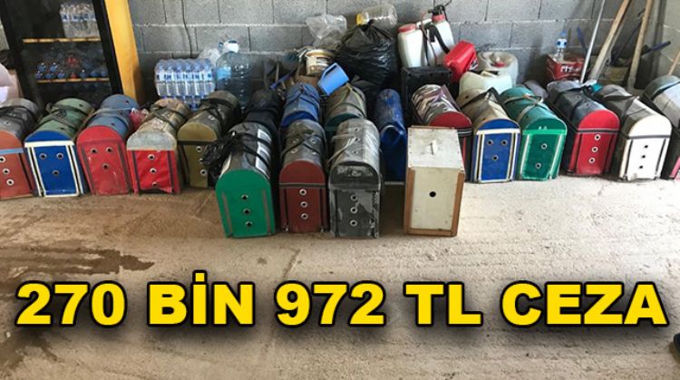 TARSUS’TA HOROZ DÖVÜŞTÜRENLERE BASKIN