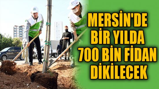 MERSİN'DE BİR YILDA 700 BİN FİDAN DİKİLECEK