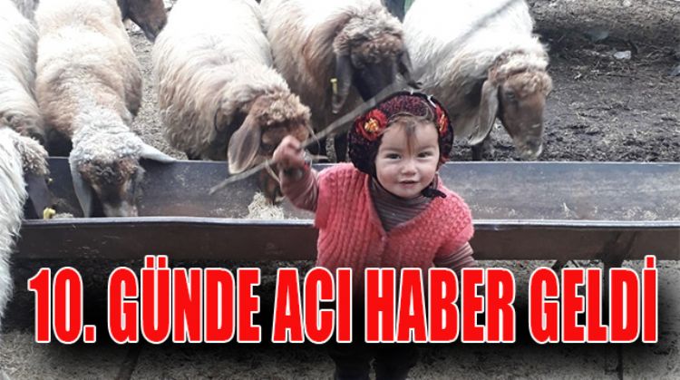 DAĞIN TEPESİNDE BULUNDU