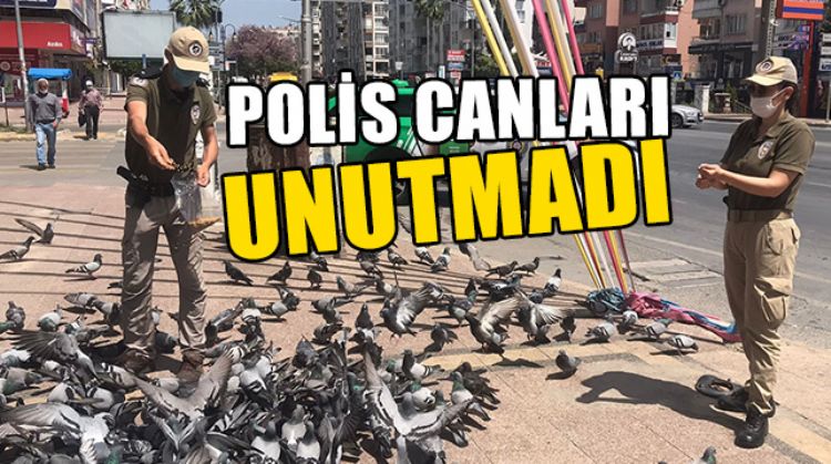 SOKAKTAKİ DOSTLARIMIZ UNUTULMADI