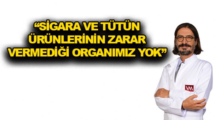 SİGARA ÖMRÜ KISALTIYOR