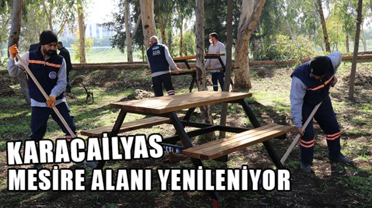 KARACAİLYAS MESİRE ALANI BAKIM VE ONARIM ÇALIŞMALARI HIZLANDI