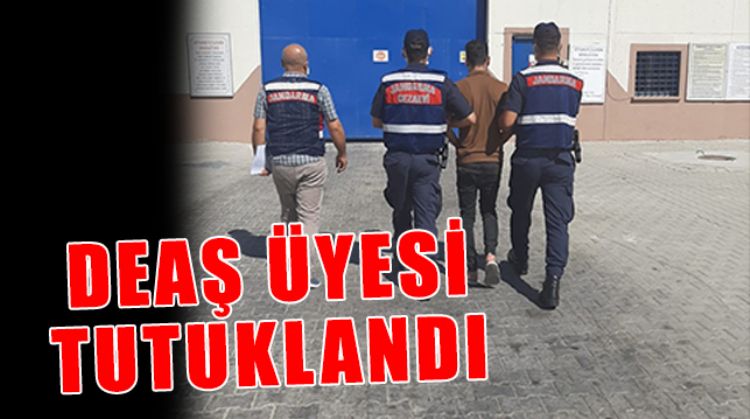 1 TERÖRİST YAKALANDI