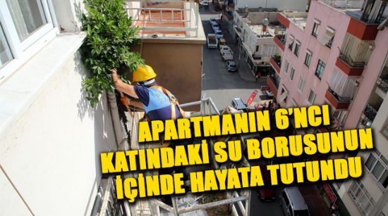 APARTMANIN 6’NCI KATINDAKİ SU BORUSUNUN İÇİNDE HAYATA TUTUNDU