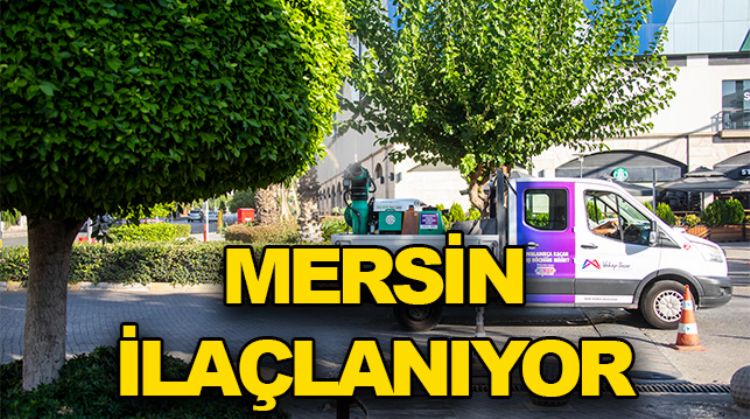 BÜYÜKŞEHİR BELEDİYESİ BEYAZSİNEĞE SAVAŞ AÇTI
