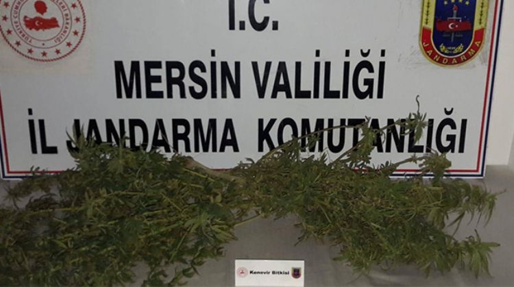 MERSİN’DE UYUŞTURUCU OPERASYONU