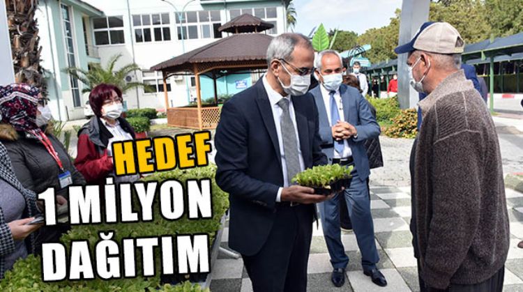 TARSUS BELEDİYESİ YERLİ TARIMI TEŞVİK ETMEK İÇİN 1 MİLYON ÜCRETSİZ YERLİ MARUL DAĞITACAK