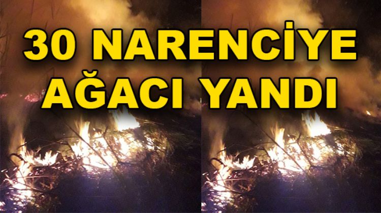 ZOR DURUMDA OLAN ÇİFTÇİYE BİR DE YANGIN VURDU