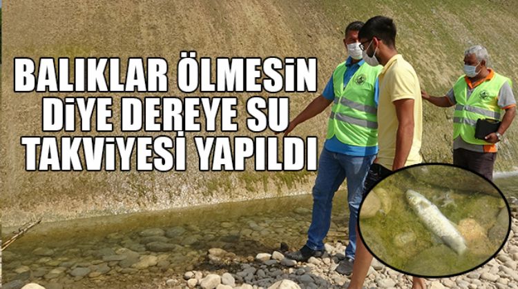 BALIKLAR İÇİN SU TAKVİYESİ