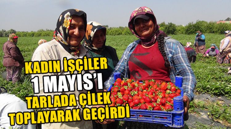 KADINLAR 1 MAYIS’I TARLADA GEÇİRDİ