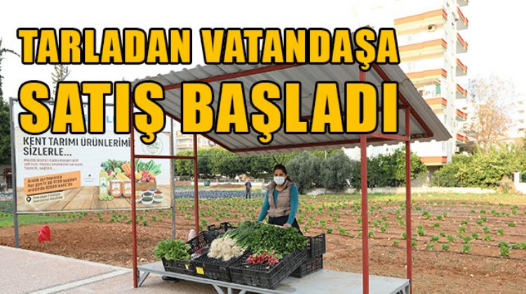 MEZİTLİLİLER, TAZE VE ORGANİK ÜRÜNE DİREKT TARLADAN ULAŞABİLECEK