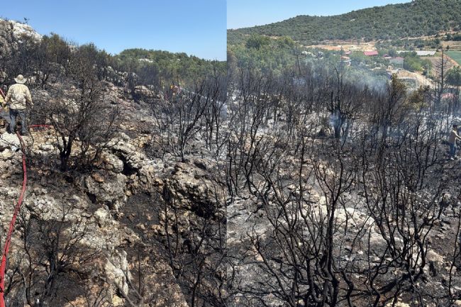 Silifke'de yangın ormanı sarmadan söndürüldü