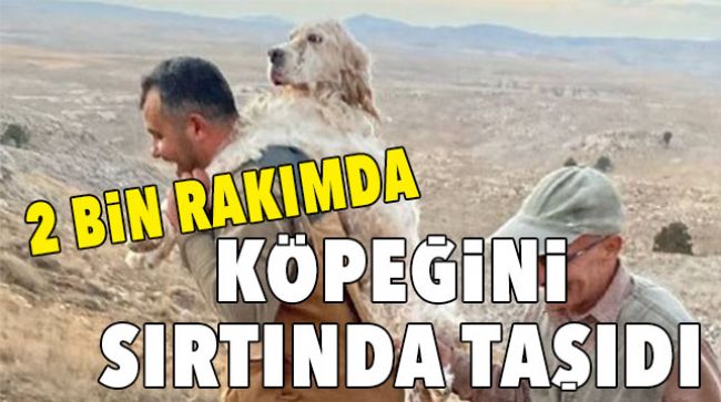 KÖPEĞİNİ 5 KİLOMETRE TAŞIDI