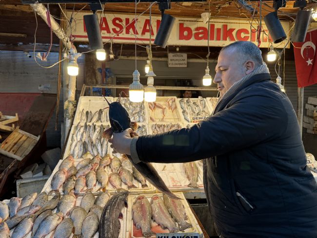 Akdeniz'de balık bereketi