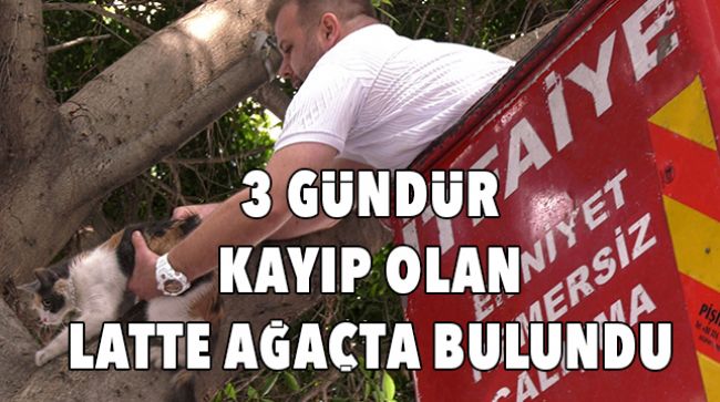 İTFAİYE EKİPLERİ İMDANINDA YETİŞTİ
