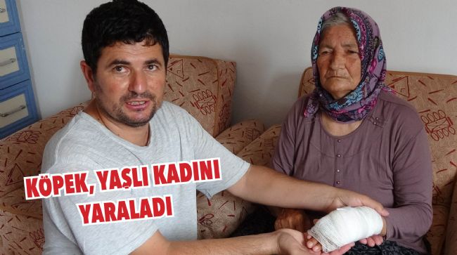 EKİPLER GÜÇLÜKLE YAKALADI