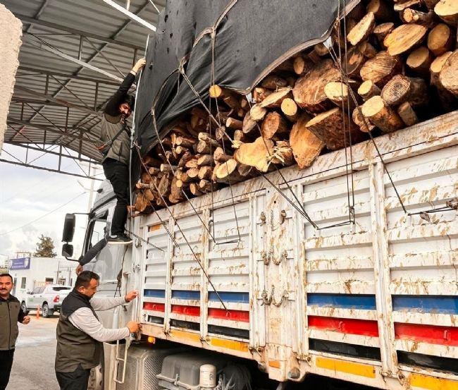 Mersin’de orman suçlarına eş zamanlı denetim