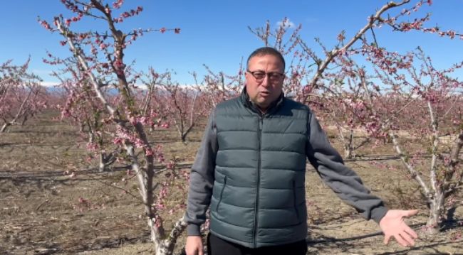 Zirai Don Akdeniz’i Vurdu
