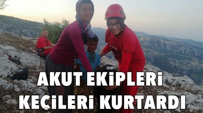 2 KEÇİ KAYALIKLARDAN KURTARILDI