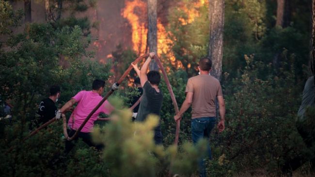 Alevler doğayı, dumanı ciğerlerimizi mahvediyor