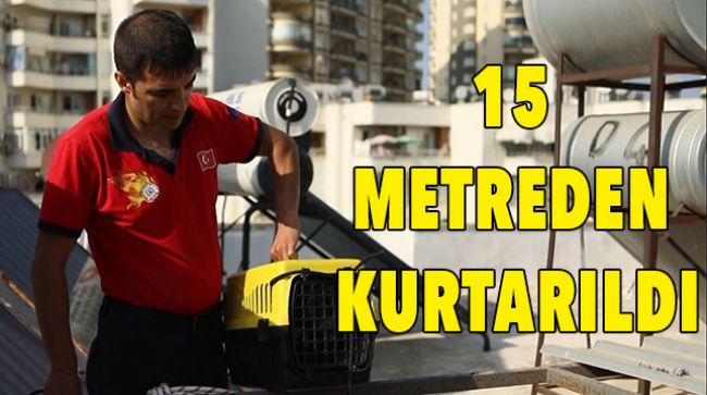 APARTMAN BOŞLUĞUNA DÜŞEN KEDİYİ KURTARDILAR