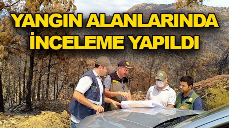OGM YANGIN GENÇLEŞTİRME TESPİT ÇALIŞMASINI TAMAMLADI