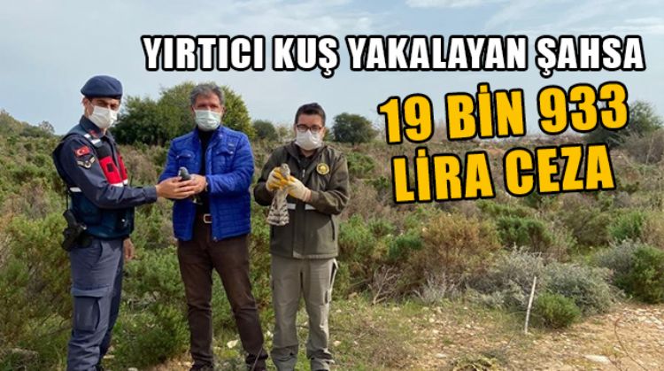 MERSİN’DE YIRTICI KUŞ YAKALAYAN ŞAHSA 19 BİN 933 LİRA CEZA VERİLDİ