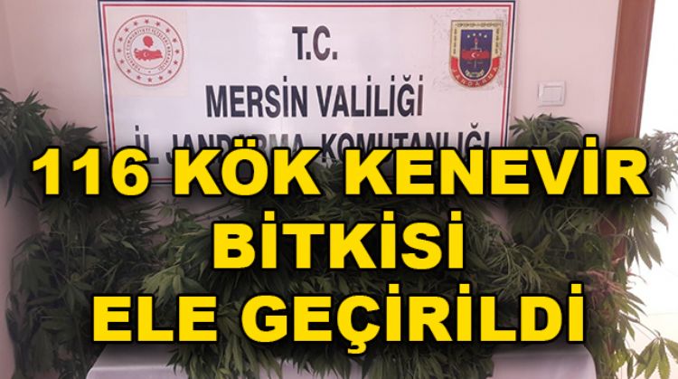 TARSUS’TA UYUŞTURUCU OPERASYONU