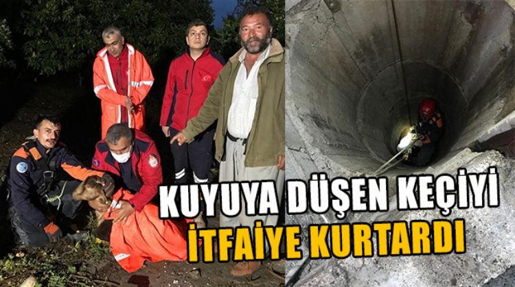 KUYUYA DÜŞEN KEÇİ, KURTARILDI