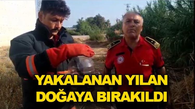 EVE GİREN 2 METRELİK YILAN KORKU DOLU ANLAR YAŞATTI