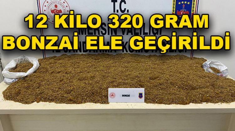 ERDEMLİ VE ANAMUR’DA UYUŞTURUCU OPERASYONU