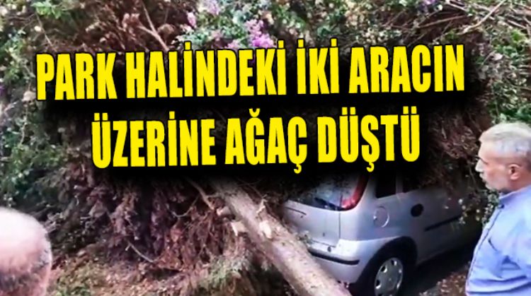 SAĞANAK YAĞIŞIN ETKİLERİ YAVAŞ YAVAŞ ORTAYA ÇIKIYOR