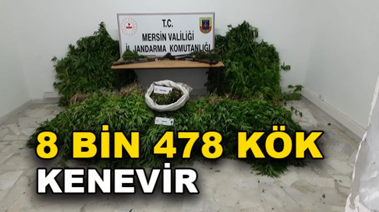 MUT’TA UYUŞTURUCU OPERASYONU
