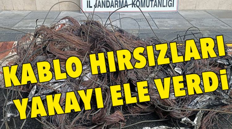 HIRSIZLAR SUÇÜSTÜ YAKALANDI